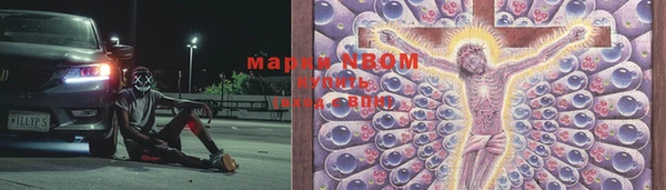 spice Верея