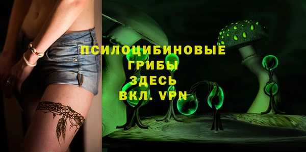 соль курить ск Верхний Тагил