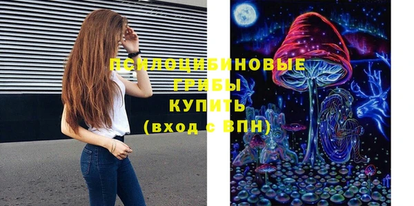 а пвп мука Бородино