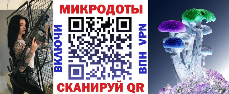 Псилоцибиновые грибы Psilocybe  Чишмы 